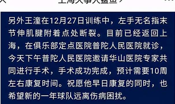 哈曼重伤赛季报销引担忧  